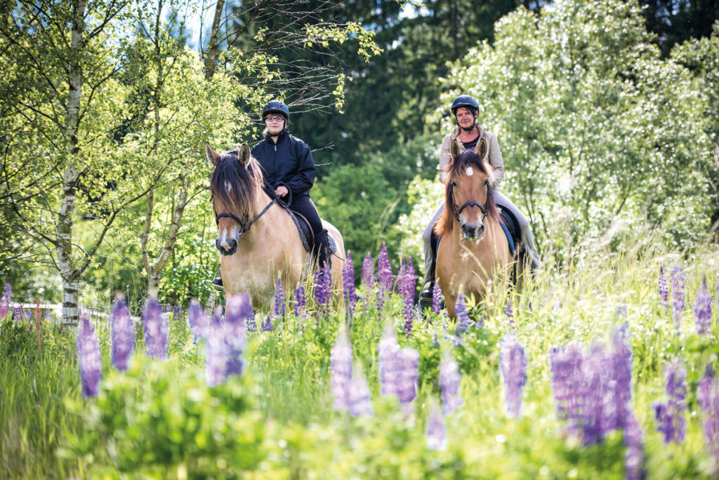 Zwei Personen mit Helmen reiten auf Pferden durch eine blühende Wiese mit lila Blumen und umgeben von Bäumen.