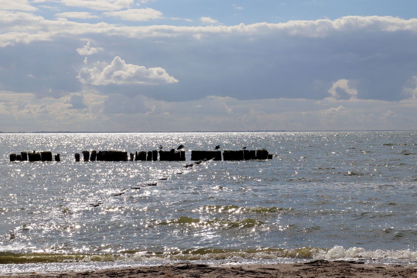 Ein ruhiger Strand mit sanften Wellen und alten Holzpfählen im Wasser unter einem bewölkten Himmel.