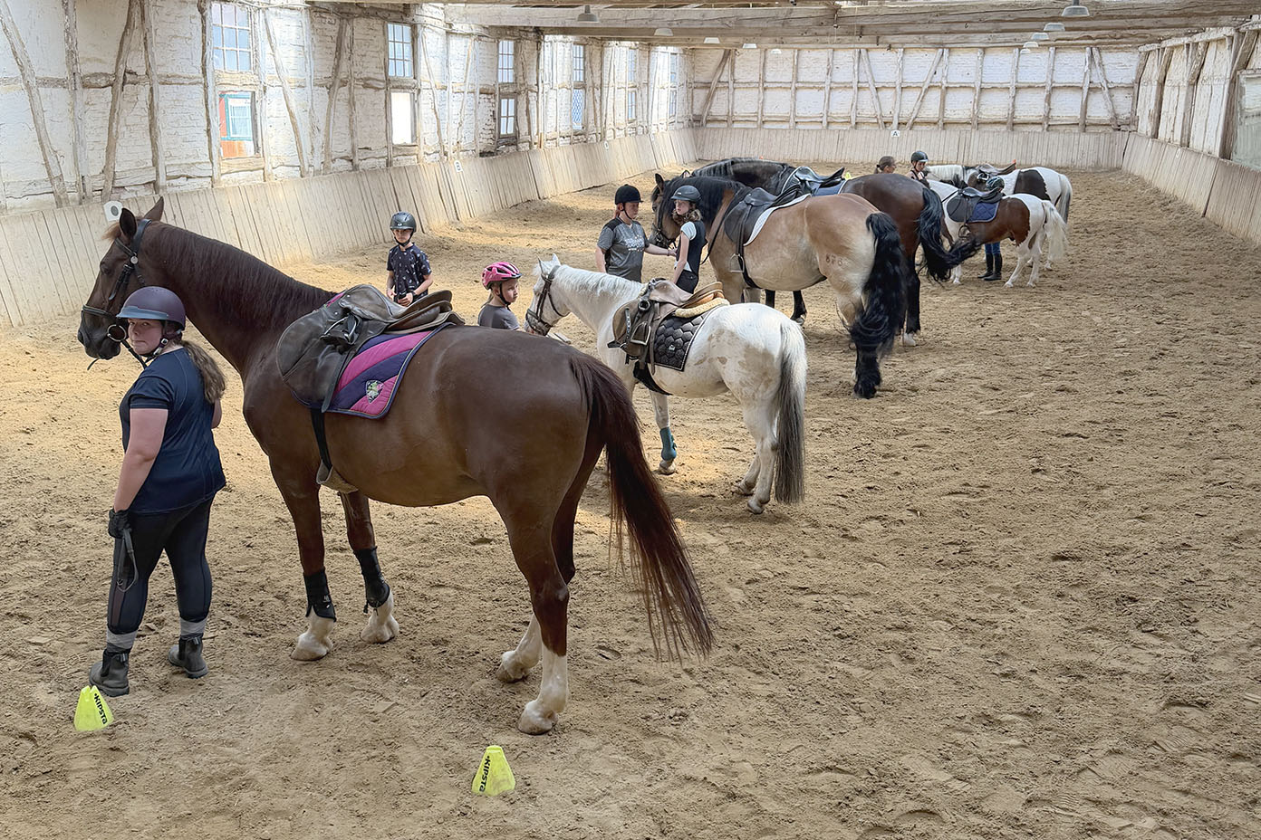 Mehrere Personen mit Helmen stehen in einer Reithalle neben gesattelten Pferden und bereiten sich auf das Reiten vor.