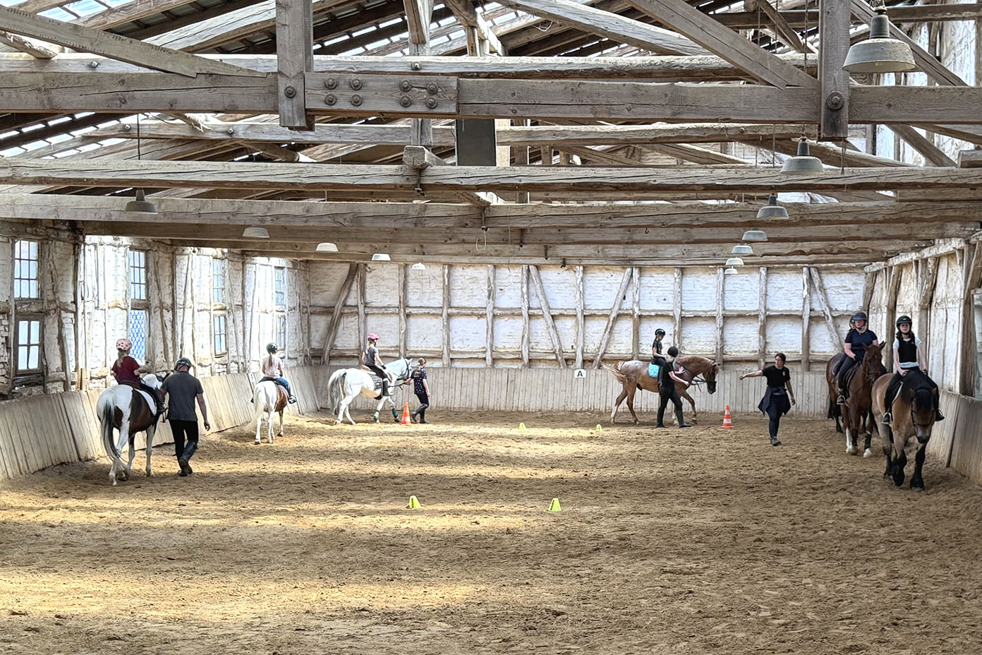 In einer hellen Reithalle reiten mehrere Personen auf Pferden, während andere neben ihnen gehen und Anweisungen geben.