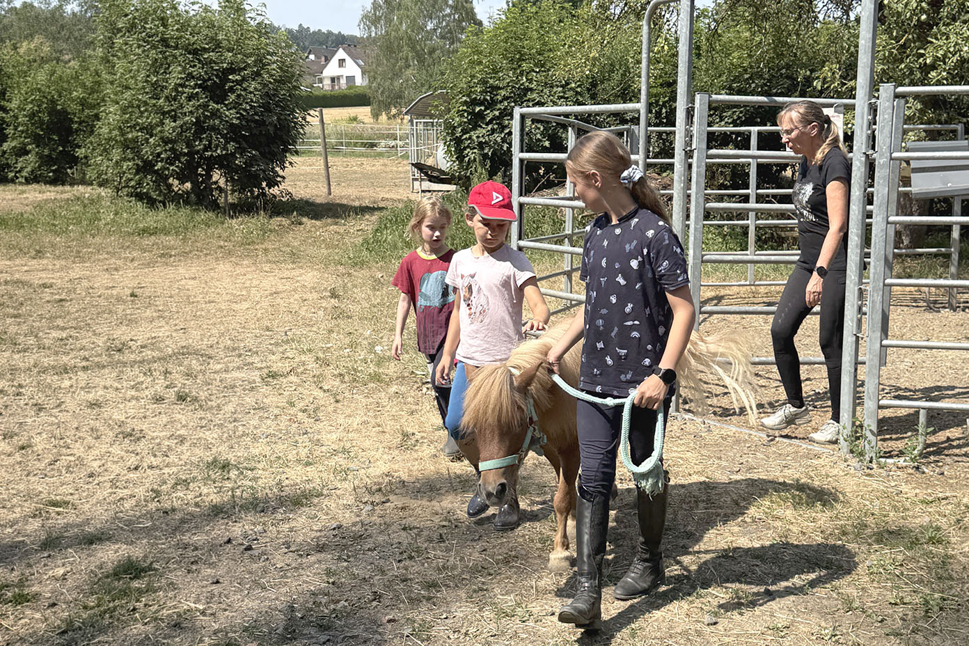 Mehrere Kinder und eine erwachsene Person führen ein Pony auf einem sonnigen Feld mit Bäumen und einem Haus im Hintergrund.