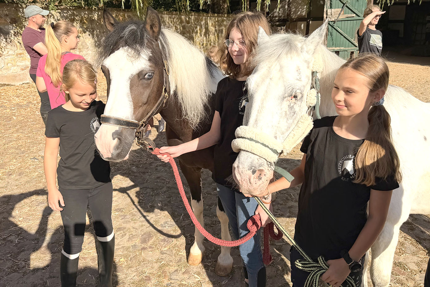 Drei Kinder in schwarzer Kleidung führen zwei Ponys an Halfter und Strick auf einem sonnigen Hof.