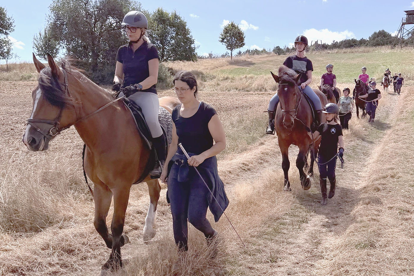 Mehrere Personen reiten und führen Pferde auf einem Feldweg bei sonnigem Wetter.