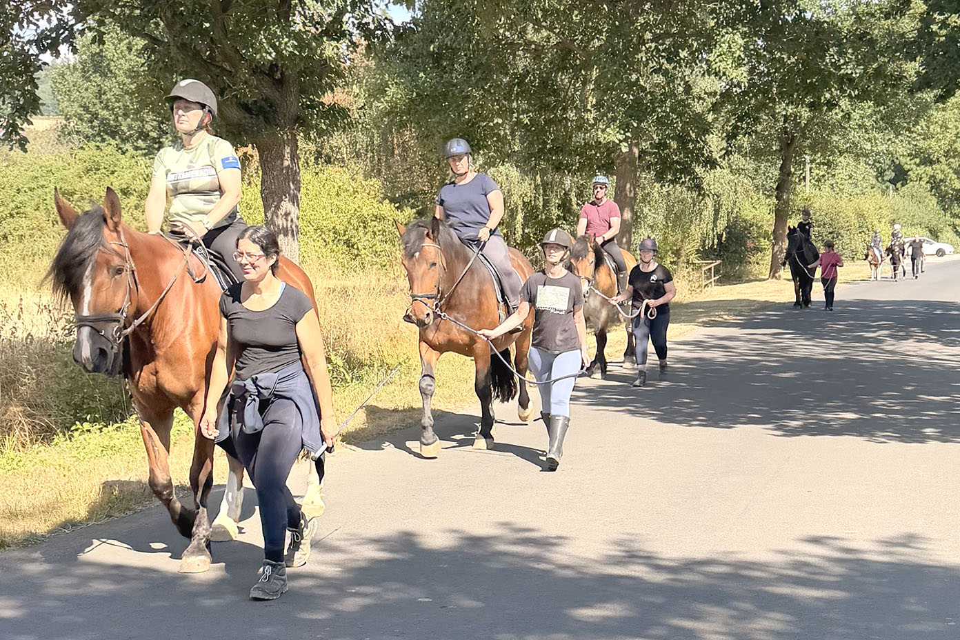 Mehrere Personen reiten auf Pferden und gehen neben ihnen auf einem sonnigen Weg entlang, umgeben von Bäumen und Grünflächen.