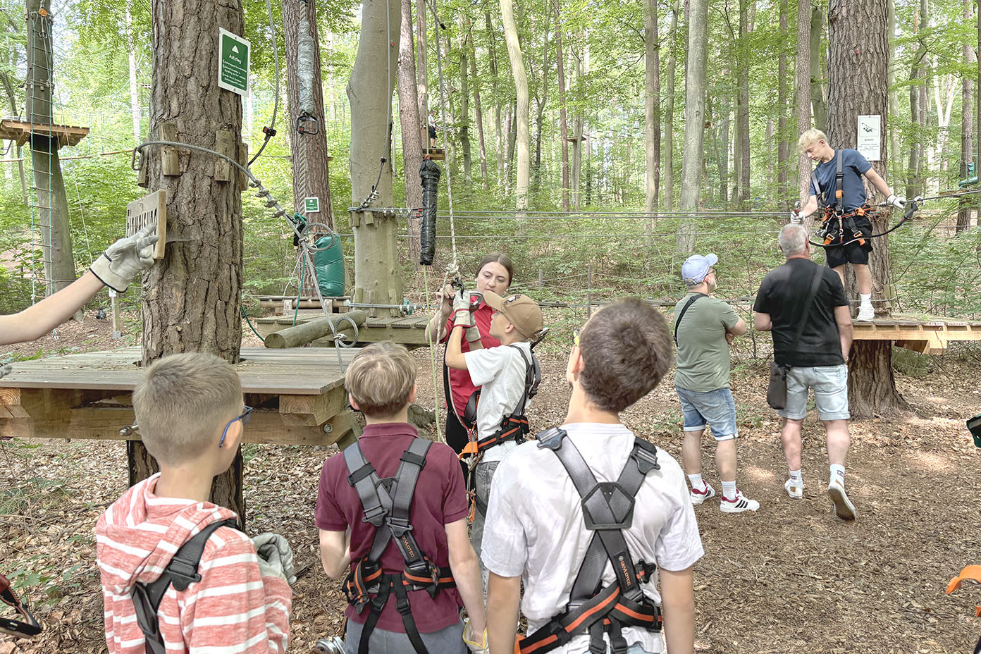 Mehrere Personen mit Kletterausrüstung stehen in einem Wald und bereiten sich auf eine Seilrutschen- oder Kletteraktivität vor, während eine Person auf einer Plattform in den Bäumen steht.