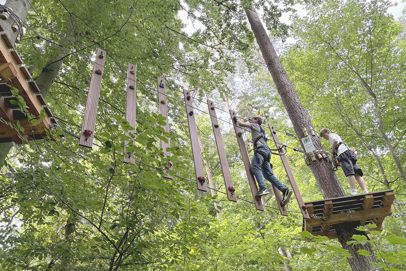 Zwei Personen mit Kletterausrüstung überwinden in einem Wald auf einer Hängebrücke aus Holzstegen und Seilen eine Herausforderung.