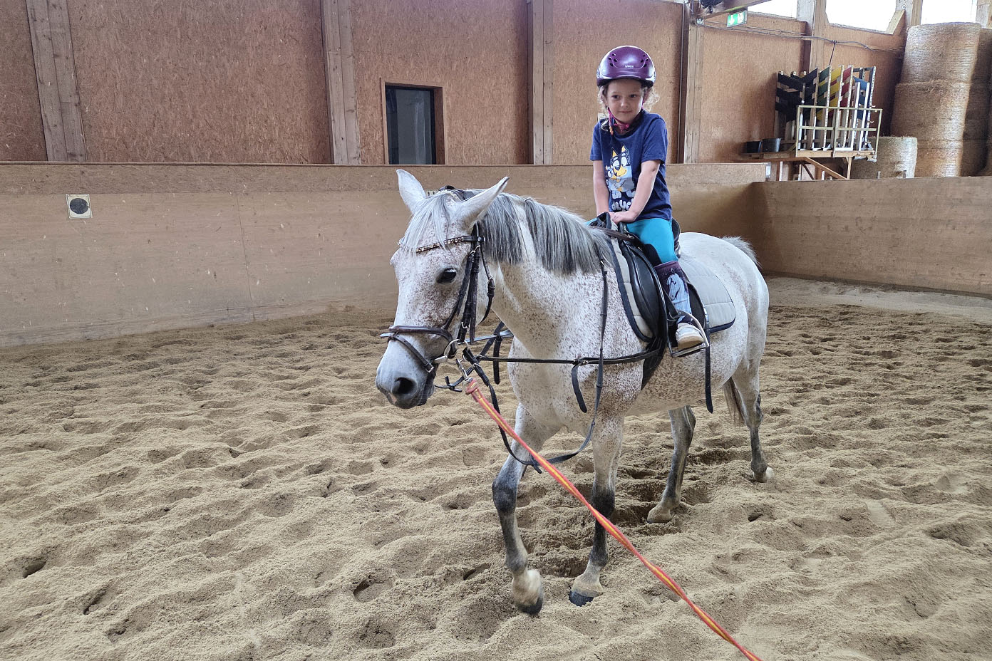 Ein Kind mit Helm reitet auf einem weißen Pferd in einer Reithalle mit Sandboden.