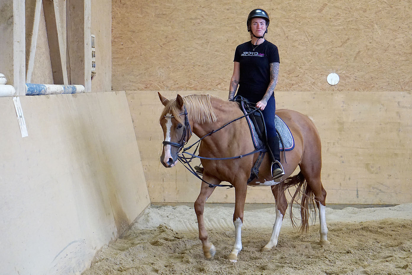 Eine Person mit Helm reitet in einer Reithalle auf einem braunen Pferd.