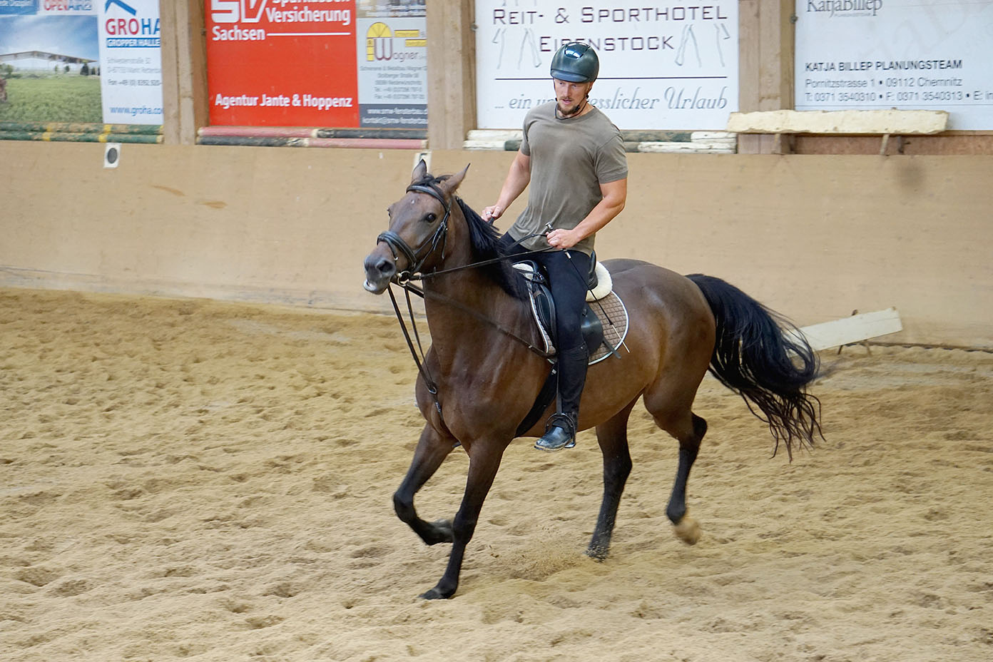 Eine Person trägt einen Helm und reitet in einer Halle auf einem braunen Pferd im Schritt.