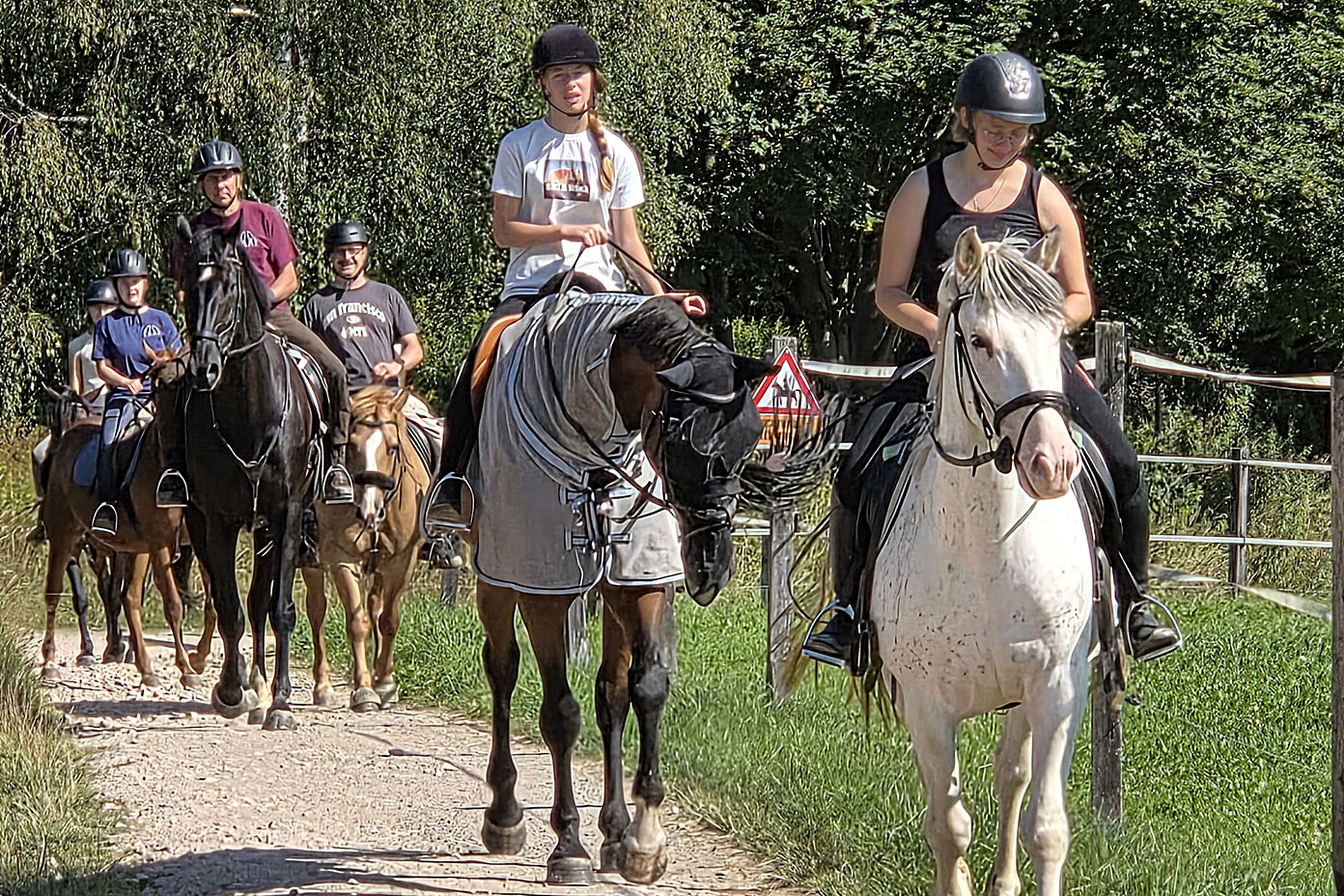 Fünf Personen reiten auf Pferden auf einem sonnigen Waldweg, wobei die vordersten beiden Pferde Decken tragen und die Reiter Helme tragen.