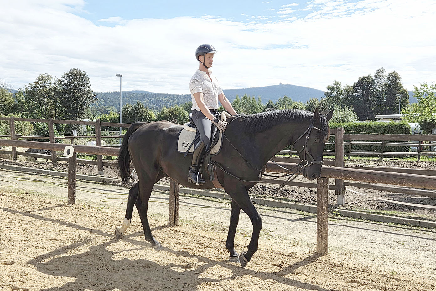 Eine Person mit Helm reitet auf einem schwarzen Pferd in einem umzäunten Reitplatz bei sonnigem Wetter.