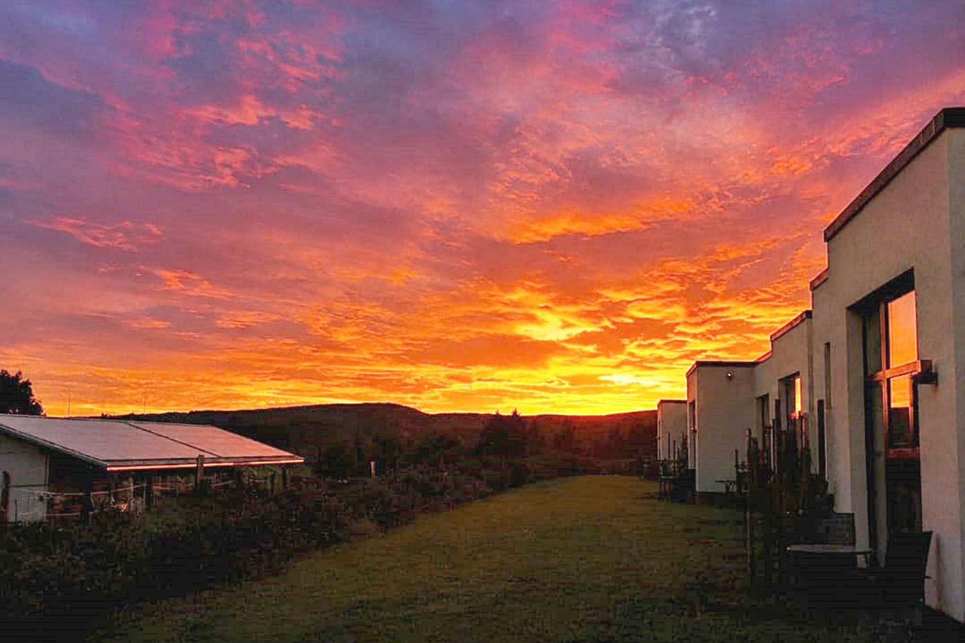 Ein leuchtend orange-roter Sonnenuntergang hinter einer Reihe von Gebäuden und einem grasbewachsenen Weg.